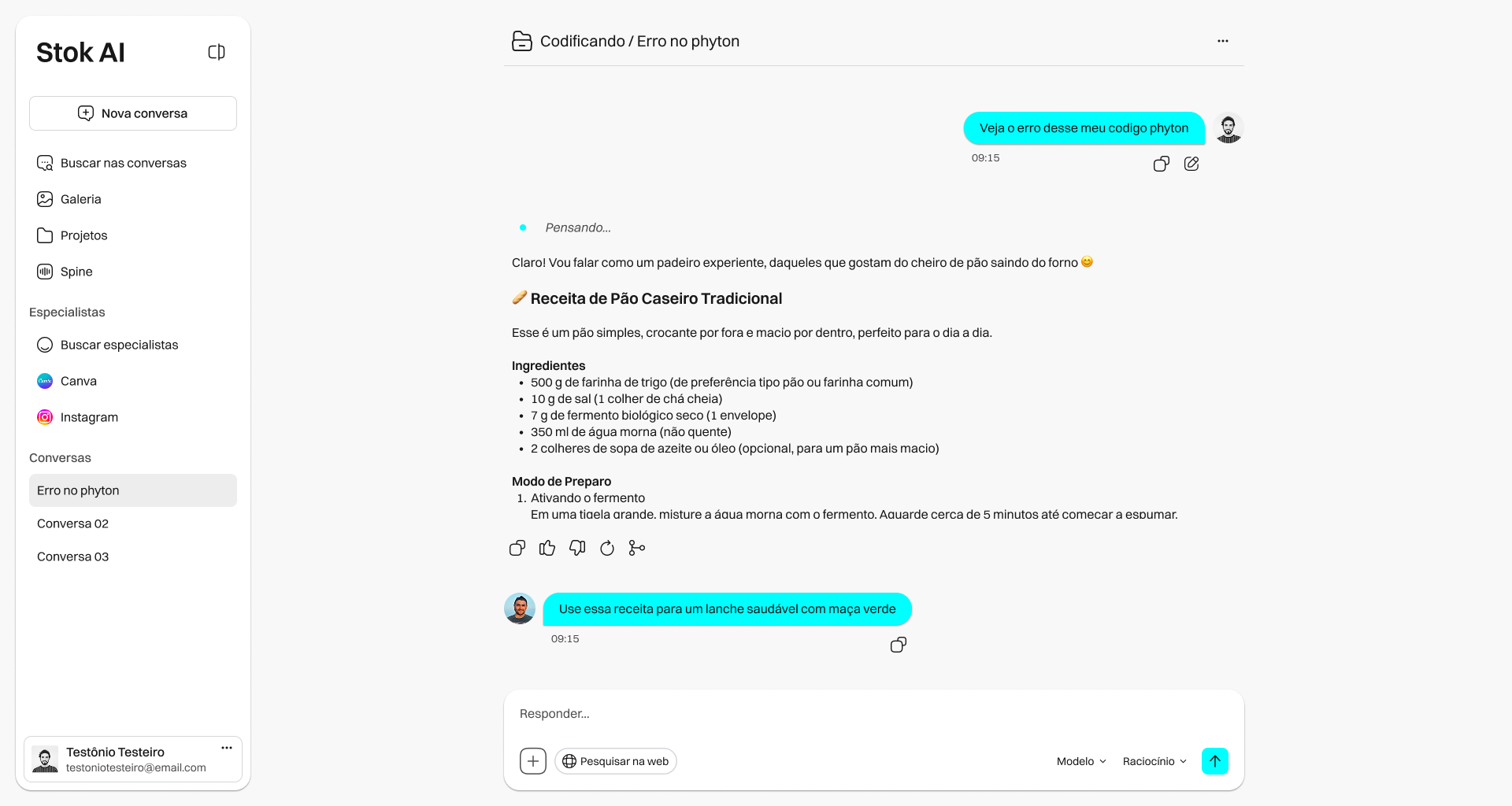 Ambiente de Trabalho Stok AI
